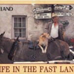 PC#89 FRONT IRELAND PC#89 FRONT IRELAND Lemmy Girlfriend Motorhead