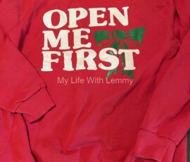 Sweatshirt from our first Valentines Day - 02/14/1993