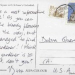 PC#42 BACK ST PETERSBURG - Mailed xx/xx/xxxx - "Here is a most informative picture! As you can see, the bloody flowers are in the way, but we managed to find the gardener! I think a nice gardener is so important, don't you? XXXX PC#42 BACK ST PETERSBURG - Mailed xx/xx/xxxx - "Here is a most informative picture! As you can see, the bloody flowers are in the way, but we managed to find the gardener! I think a nice gardener is so important, don't you? XXXX